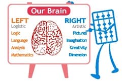 Left brain and right brain diagram